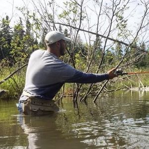 Meet your Posher, James